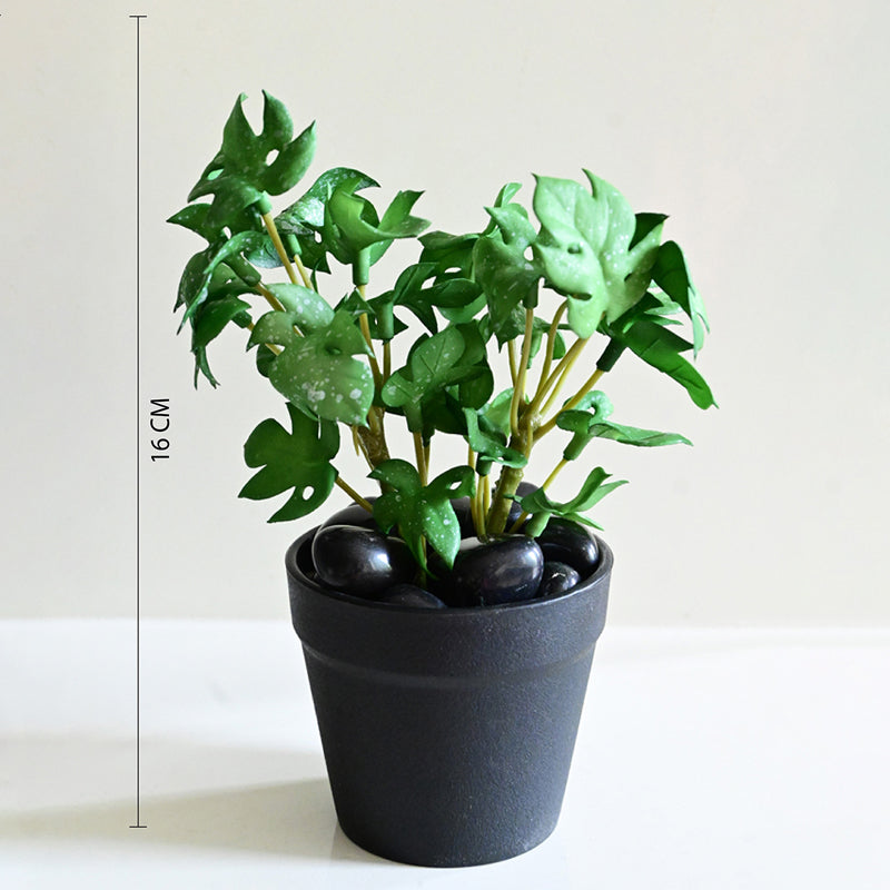 Minstera Artificial Mini Monstera Plant With Black Plastic Pot (Green) - 16 cm media 6