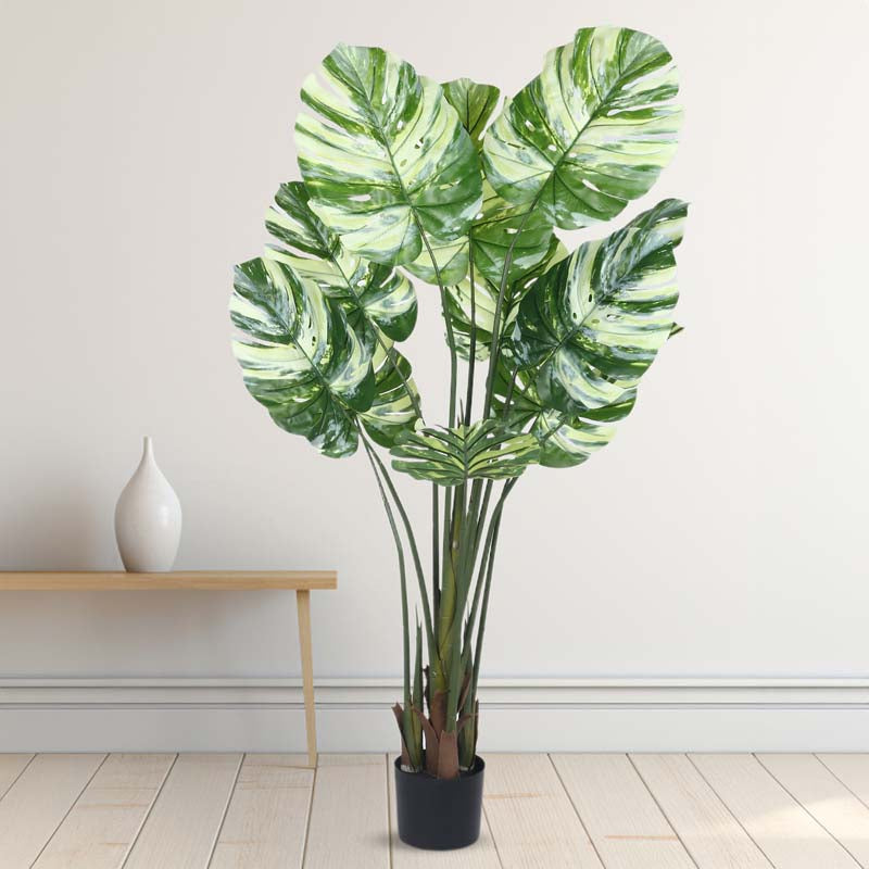 Faux Lush Variegated Monstera Plant With Black Plastic Pot - 5 Feet media 3