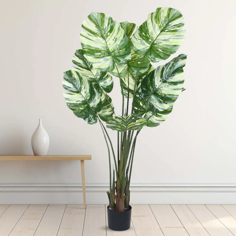 Faux Lush Variegated Monstera Plant With Black Plastic Pot - 5 Feet media 3