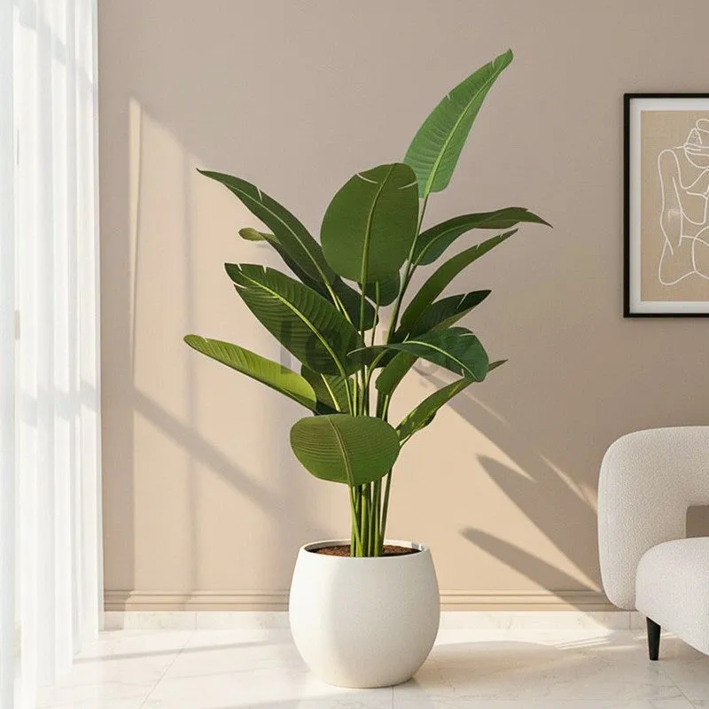 Faux Tropical Bird of Paradise Plant With Black Plastic Pot - 4.9 Feet media 1