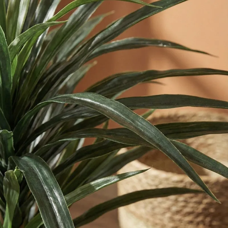Zylo Artificial Red Green Yucca Plant With Black Plastic Pot 3 ft media 6
