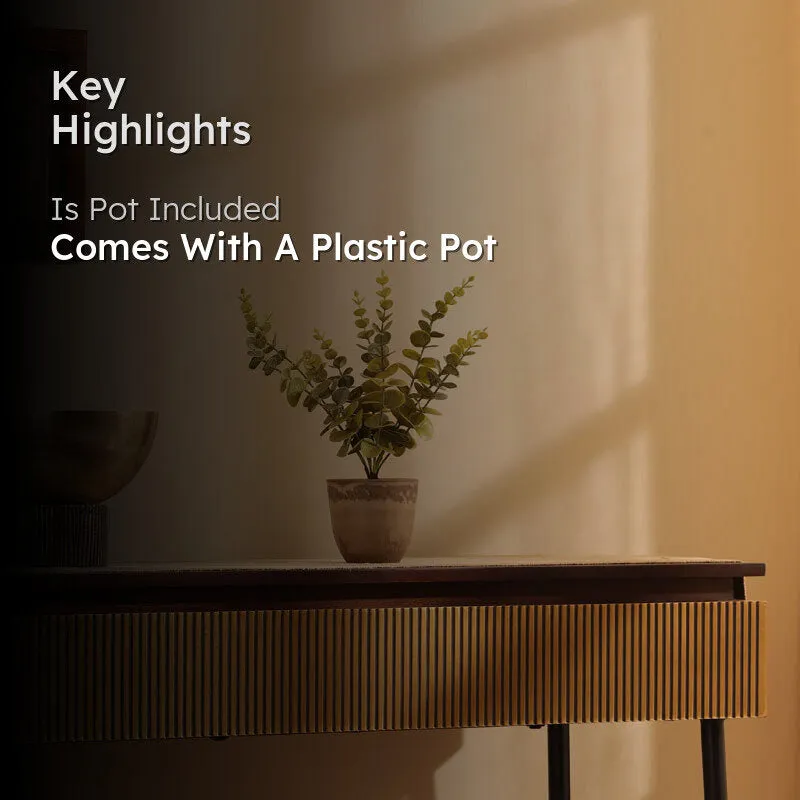Artificial Eucalyptus Branch With Black Plastic Pot - 1 Feet media 2