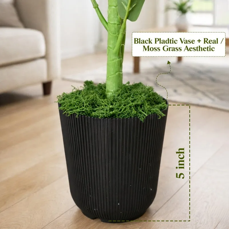 Leaf Aura Fiddle Artificial Plant With Black Plastic Pot - 89 cm (2.9 ft) media 5