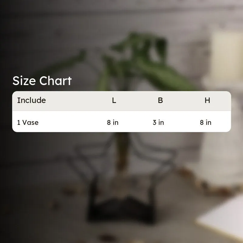 Starz Love Testube Planter media 7