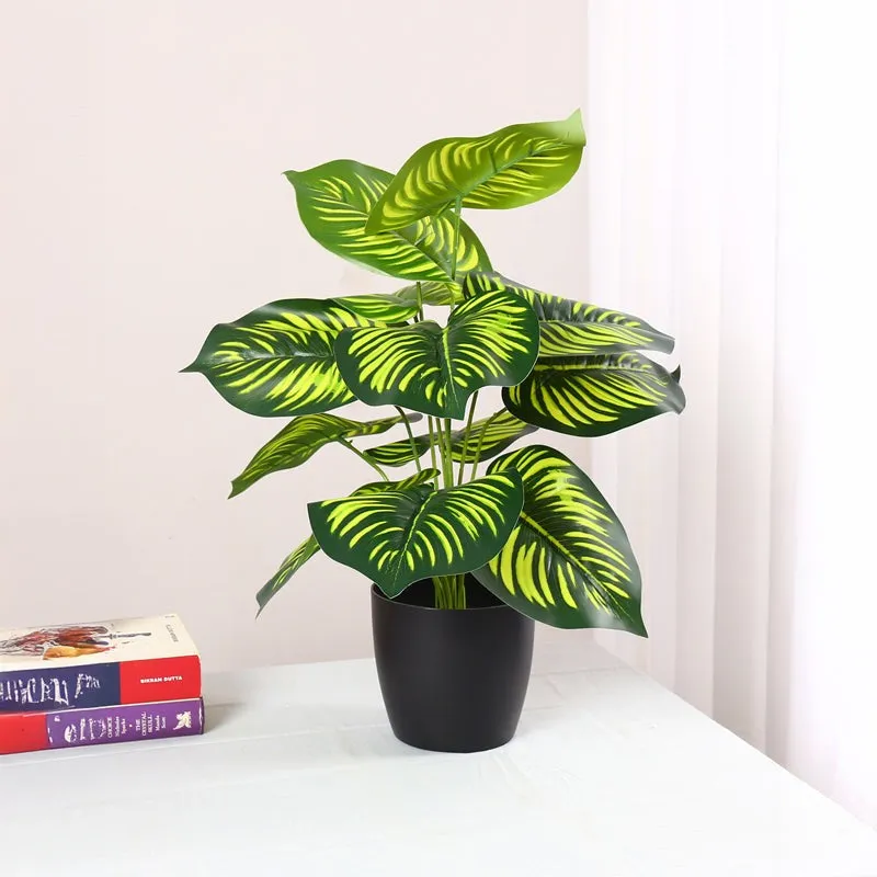 Verdiva I Artificial Plant With Black Plastic Pot - 1.8 Feet media 2