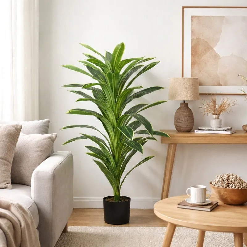 Everlyn Artificial Dracaena Plant With Black Fiber Pot - 4.6 Feet media 3