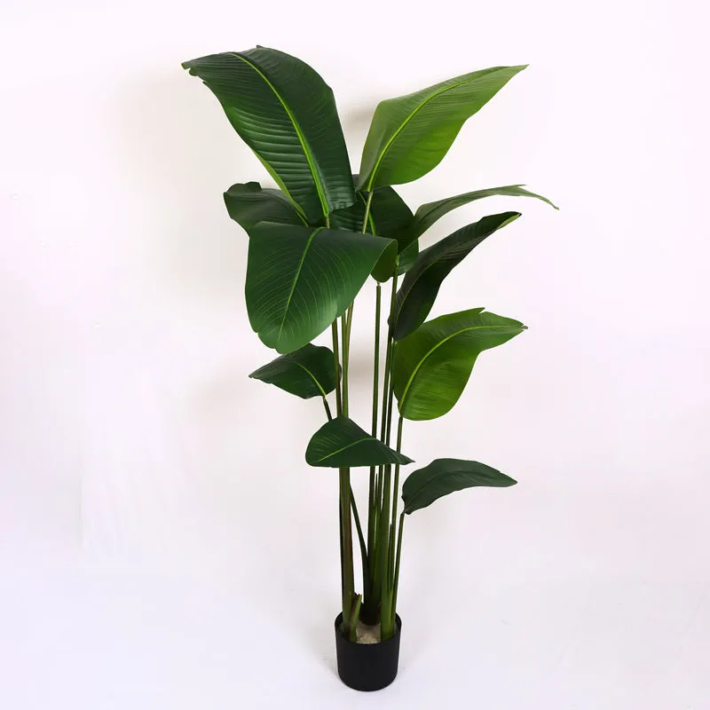 Verdiq Artificial Banana Plant With Black Plastic Pot - 6 Feet media 4