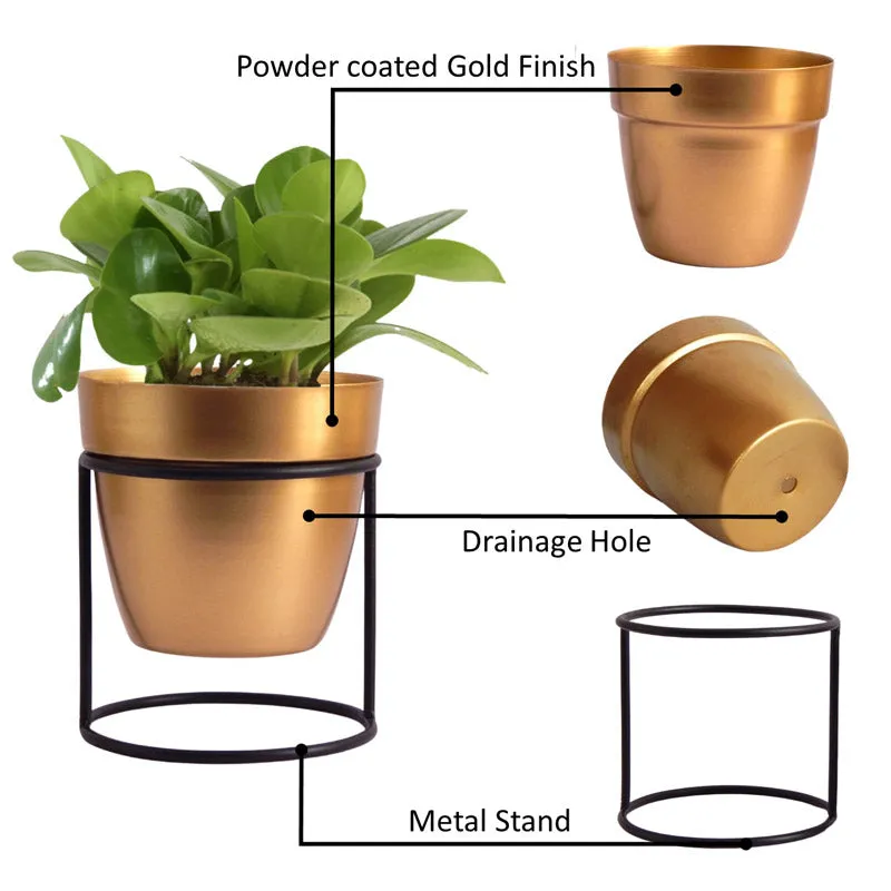 Zutoia Black Planter - White media 4