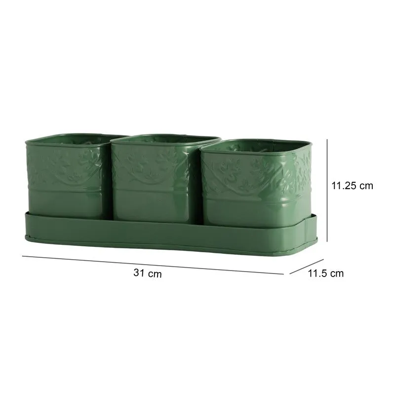 CanopyCup Planters with Tray - Green media 9