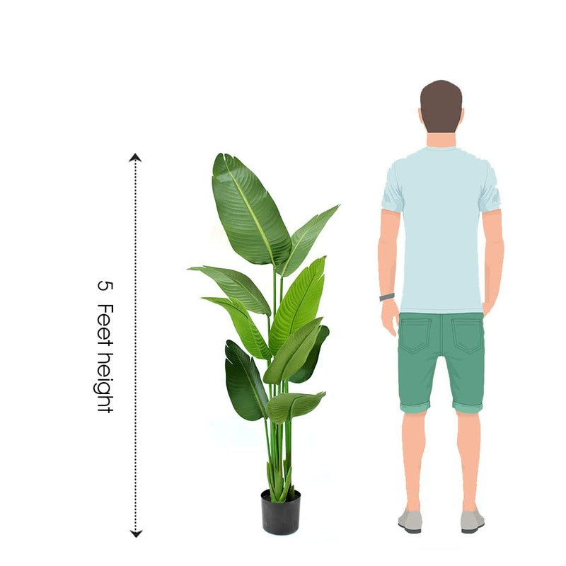 Floris Artificial Banana Plant With Black Plastic Pot - 5.1 Feet media 7