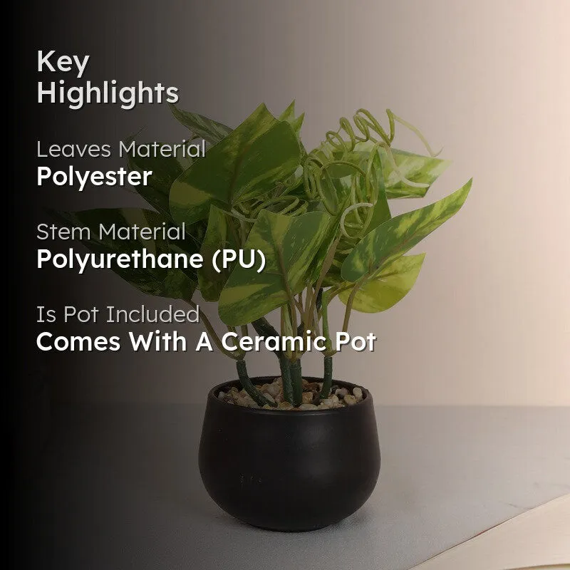Lucky Artificial Money Plants With Pot - Light Green media 2
