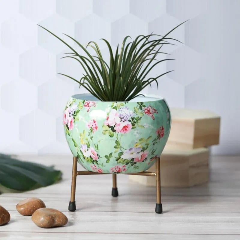 Bloomla Metal Planter - Set Of Two media 3