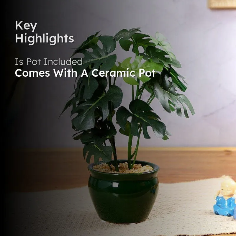 Faux Philodendron Bonsai In Ceramic Pot (28 cms) - Small media 2