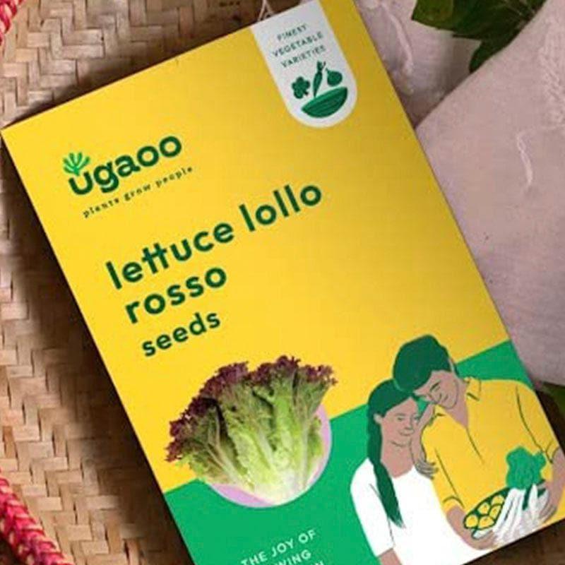 Ugaoo Lettuce Lollo Rosso Seeds media 3