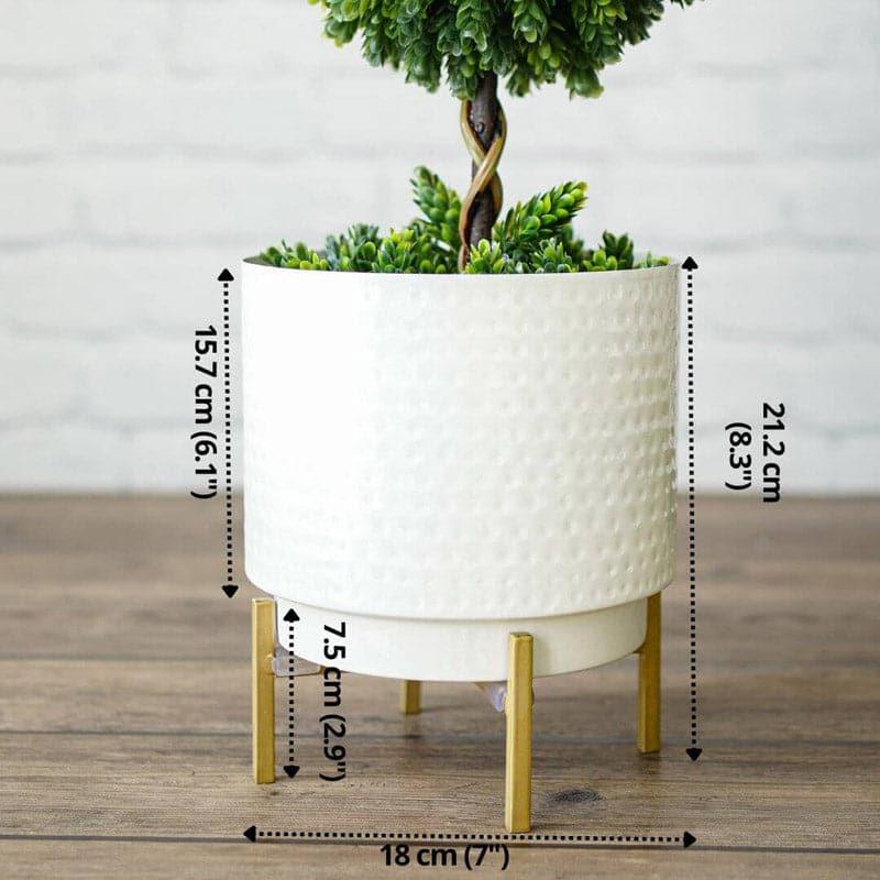 Ettta Troda Planter media 5