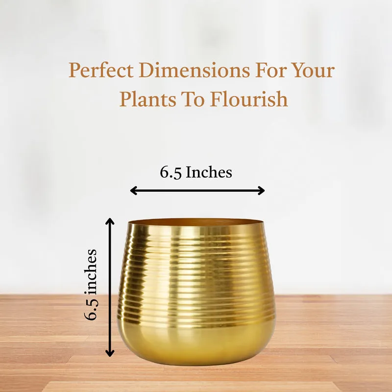 Auric Metal Golden Ribbed Planter media 7