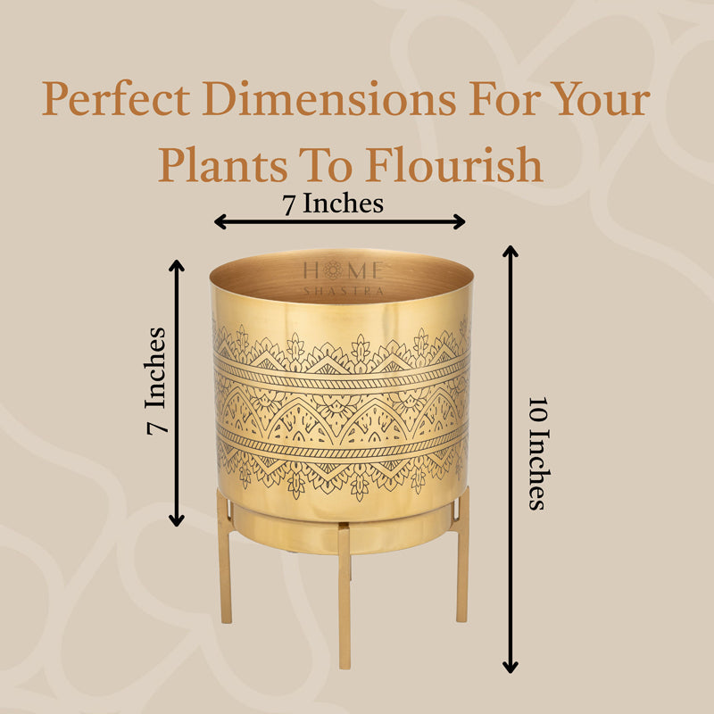 Vinyas Raaga Golden Planter with Stand media 7