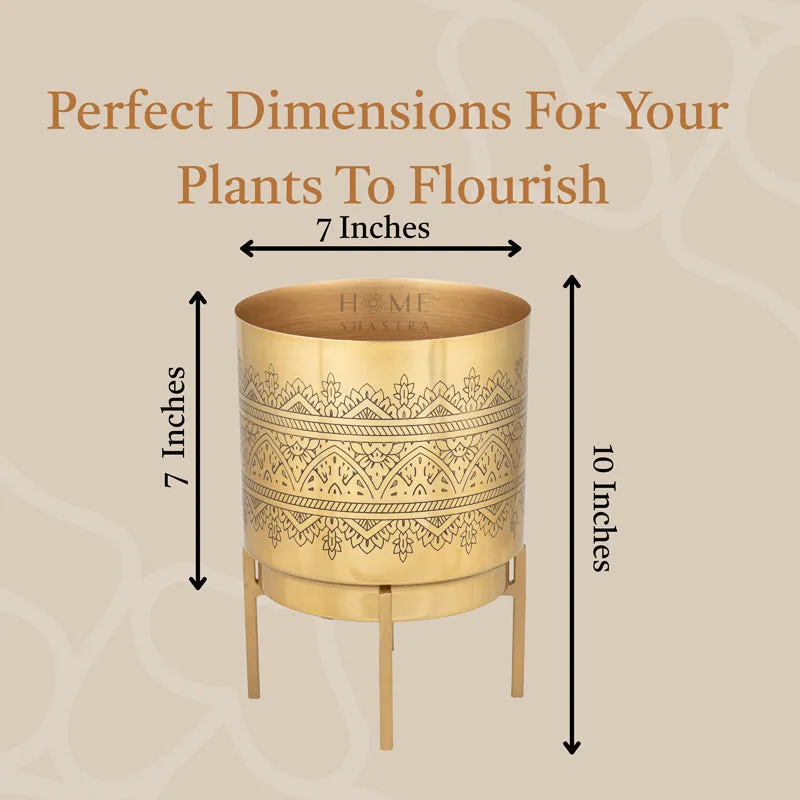 Vinyas Raaga Golden Planter with Stand media 7