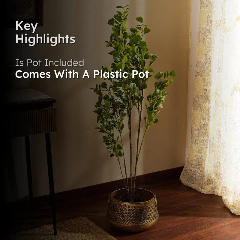 Artificial Realistic Schefflera Plant With Black Plastic Pot - 3.9 Feet media 2