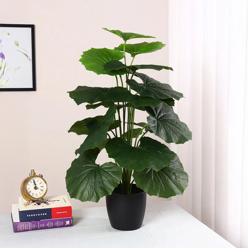 Verdiva III Artificial Plant With Black Plastic Pot - 2 Feet media 3