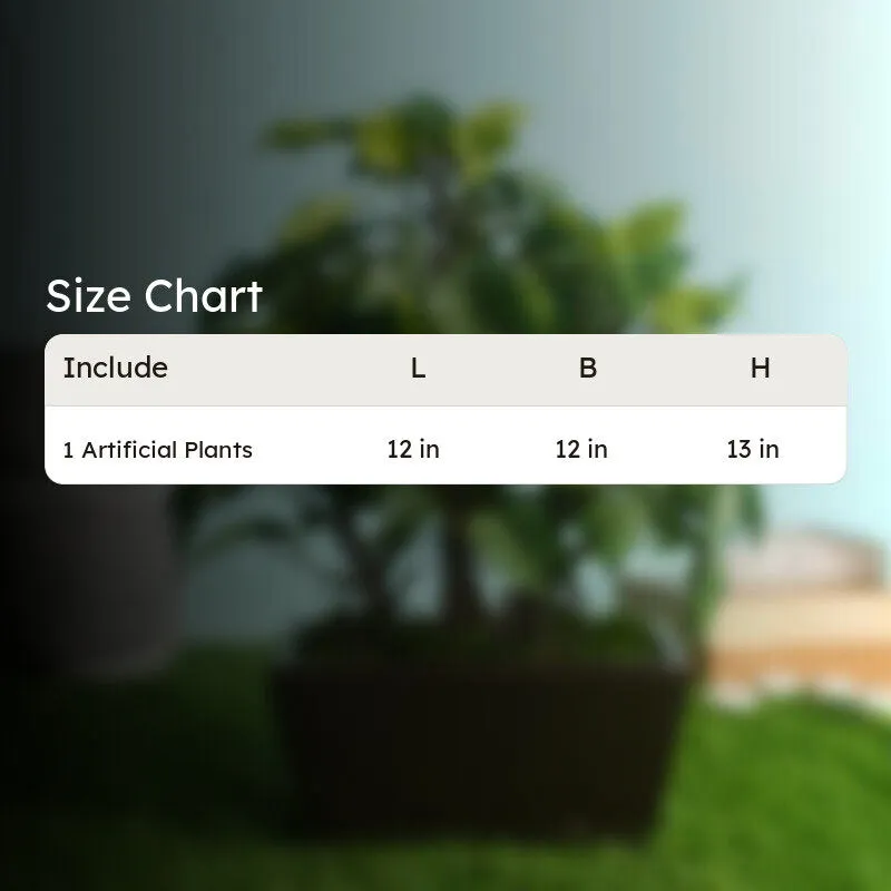 Green Ficus Artificial Bonsai Plant With Ceramic Pot - 1 Feet media 7