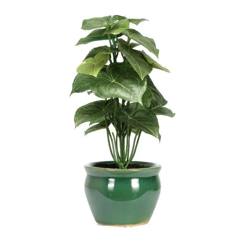 Faux Jatropha Bonsai In Ceramic Pot - 28 cms media 4