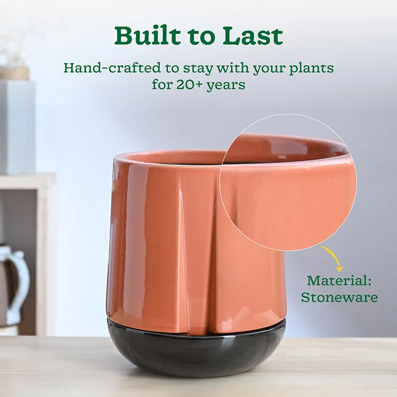 Ugaoo Duke of Drainage Ceramic Planter - Coral media 3