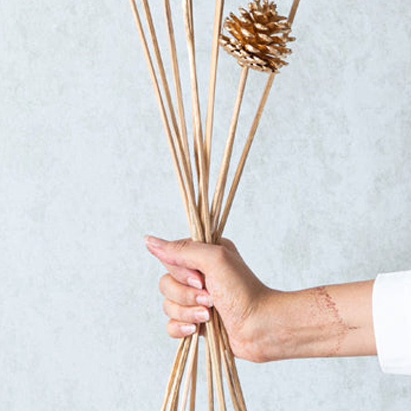 Enoira Pine Cone Stick (Gold  & Brown) - Set Of Ten media 5