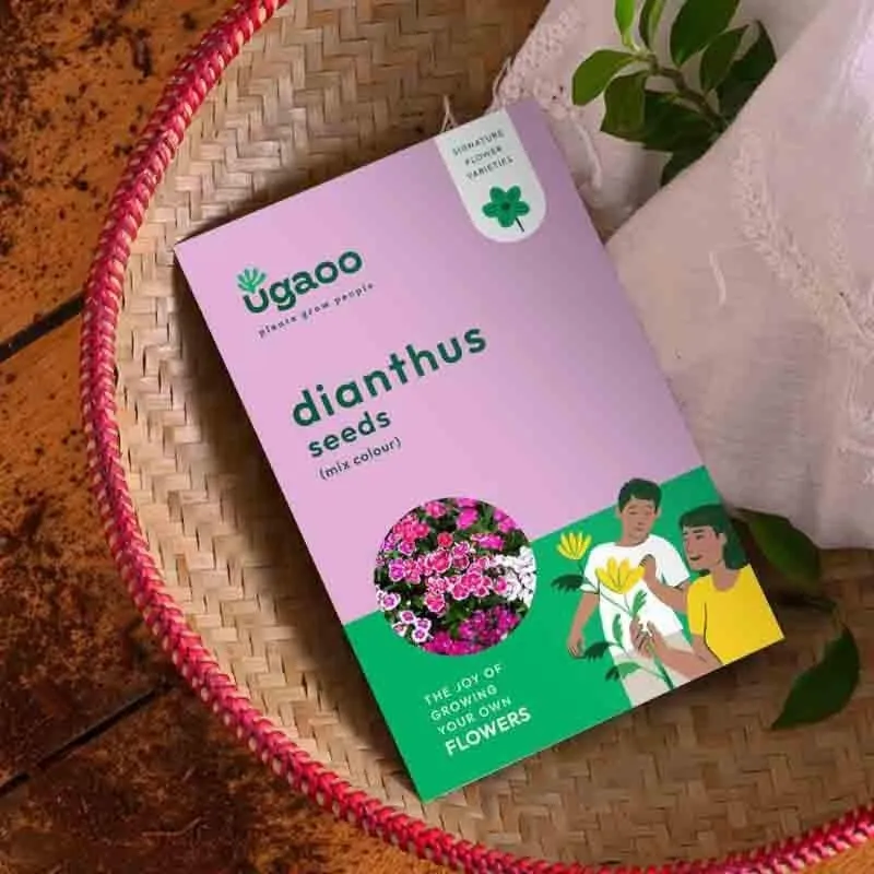 Ugaoo Dianthus Mix Seeds media 4