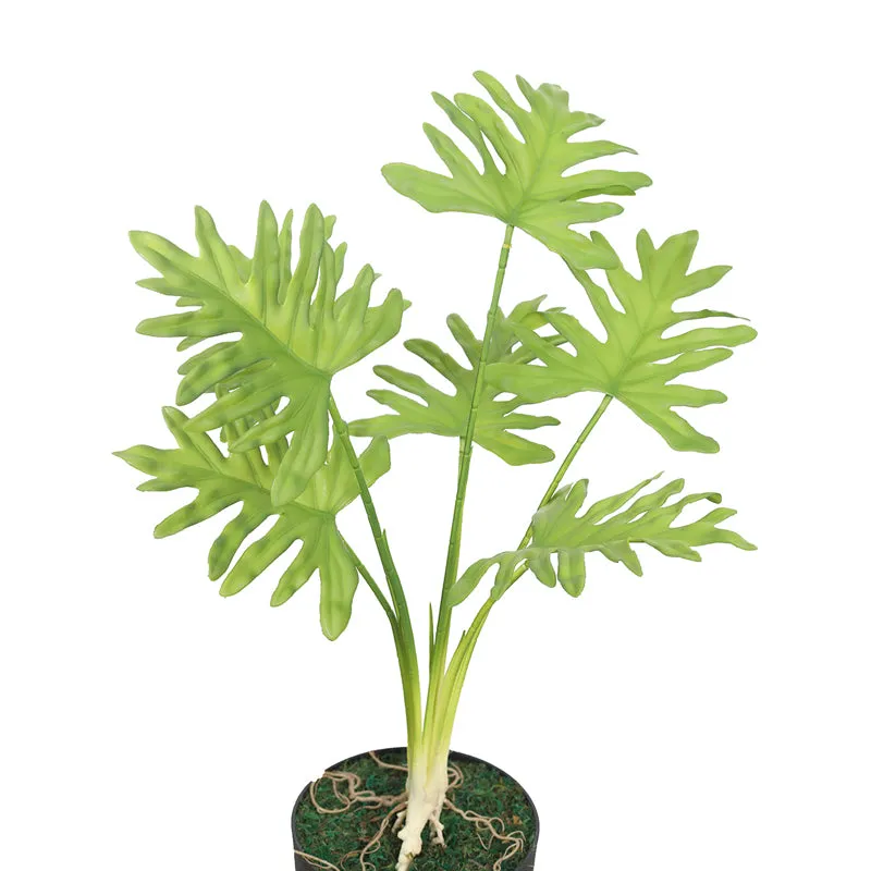 Eden Oasis Artificial Plant With Black Plastic Pot media 6