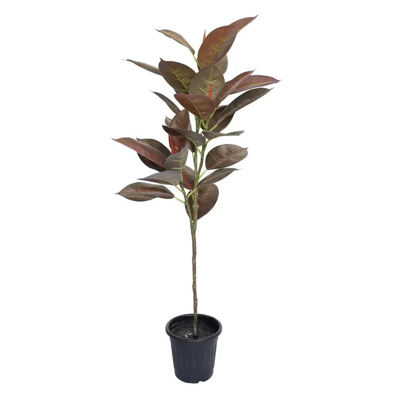 CozyFlora Artificial Rubber Plant With Black Plastic Pot - 2.5 Feet media 7
