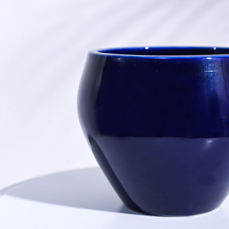 Ugaoo Apple Dark Blue Ceramic Pot media 4