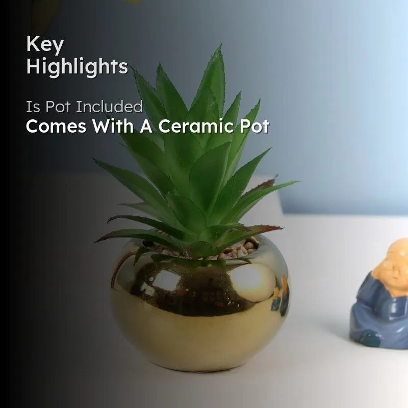 Faux Aloe Vera In Round Ceramic Pot - 14 cms media 2