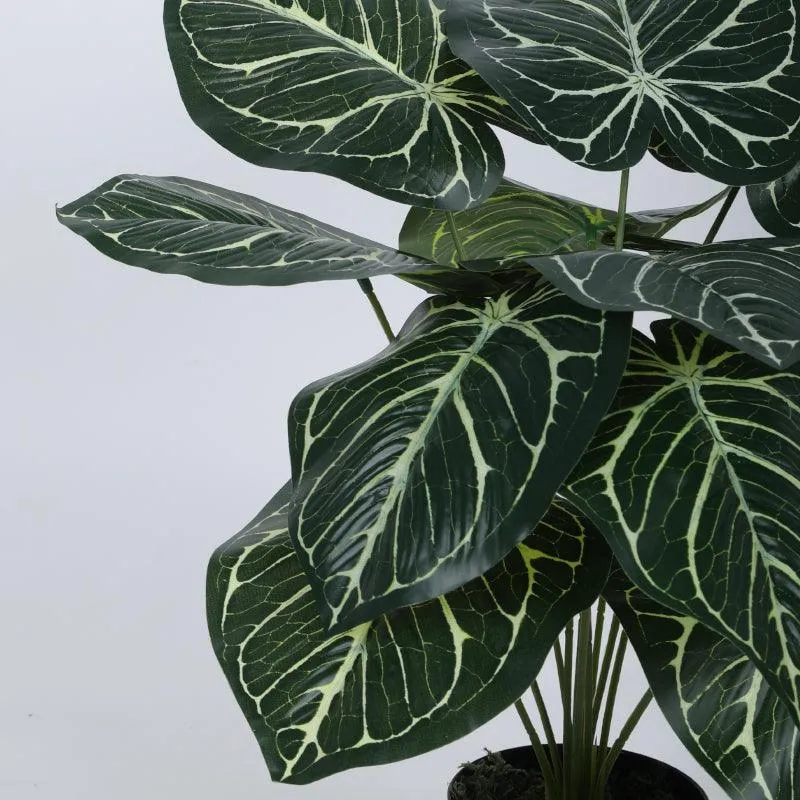 Faux Gimo Silk Plant With Black Plastic Pot - 55 cms media 4