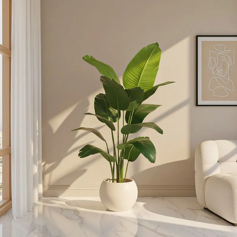 Faux Realtouch Banana Plant With Black Plastic Pot - 4.9 Feet media 1