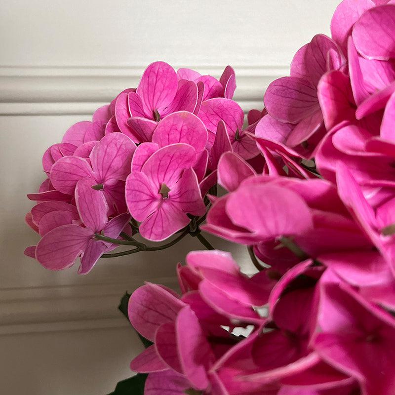 Faux Everlasting Hydrangea Flower Stick - Bright Pink media 3