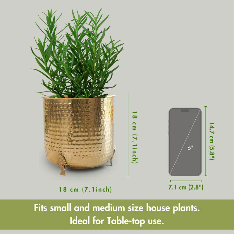 Zephyr Metal Hammered Leaf leg Planter - Gold media 6