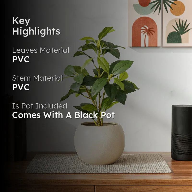 Artificial Croton Leaf Plant With Black Fiber Pot (Green) - 1.3 Feet media 2