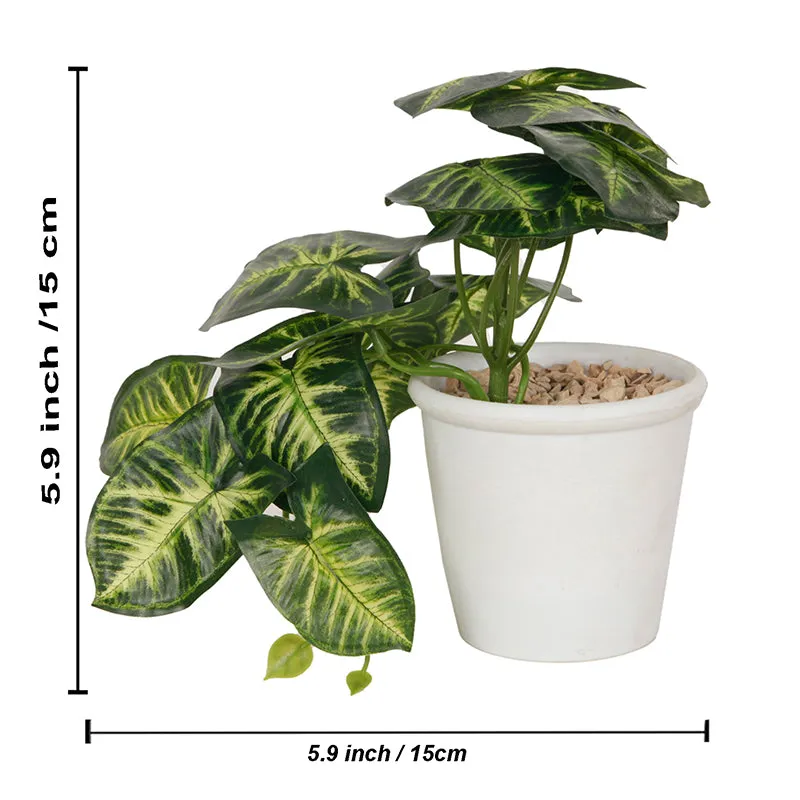 Lirio Artificial Plant With Black Plastic Pot media 5