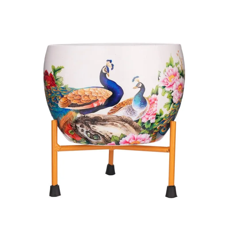 Peacock Pride Pots & Planters media 11