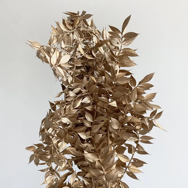 Dried Ruscus Bunch (Gold) - Set Of Three media 6