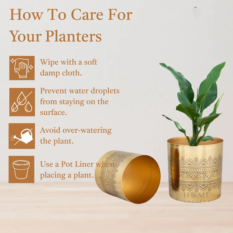 Vinyas Raaga Golden Planter - Set Of Two media 4