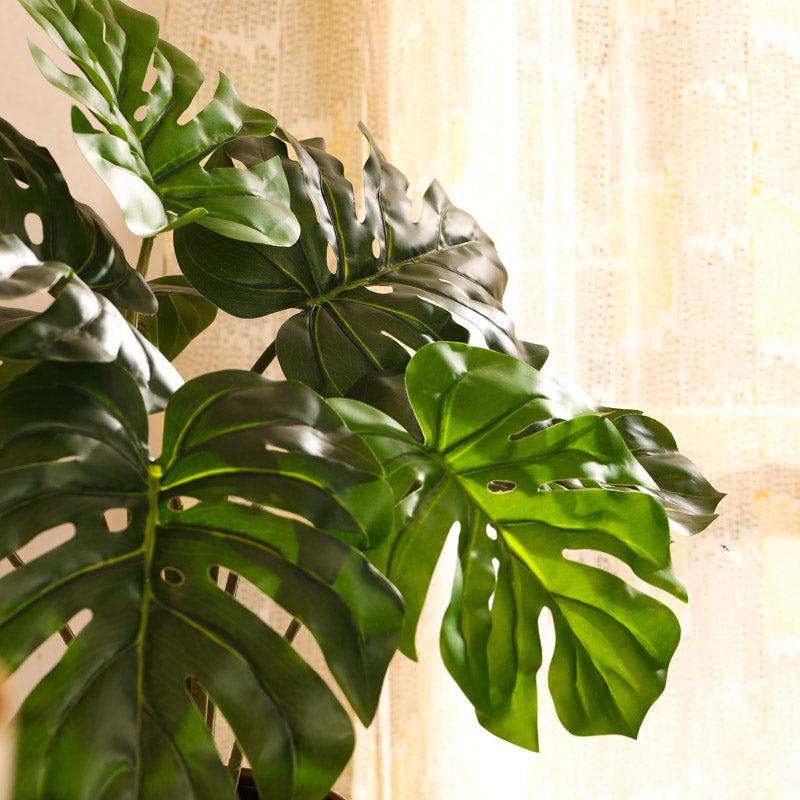 Artificial Realistic Monstera Plant in Black Plastic Pot media 6