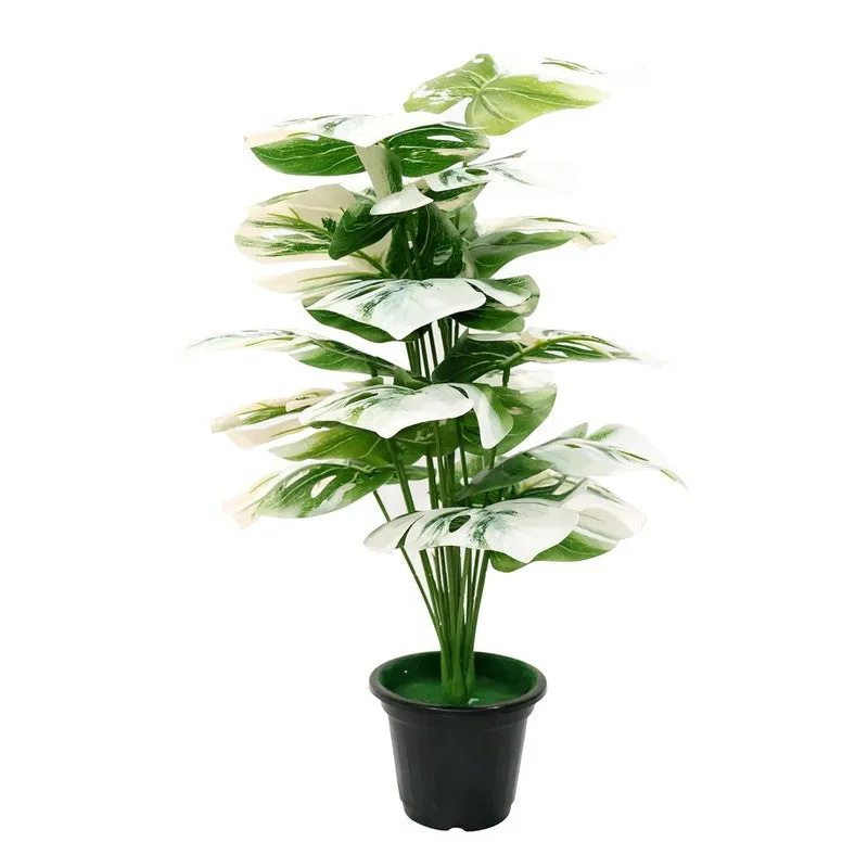 VerdePalm Artificial Philodendron Caladium Plant With Black Plastic Pot - 2.5 Feet media 4