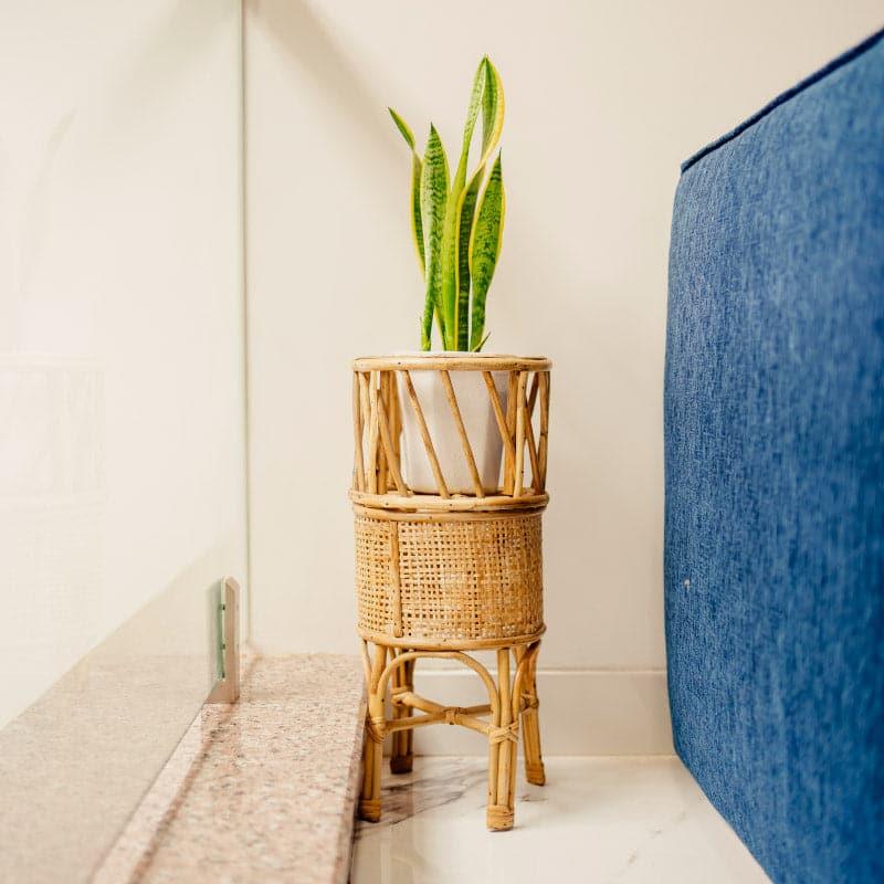 Carson Floor Planter media 3