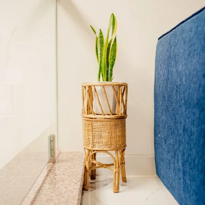 Carson Floor Planter media 3