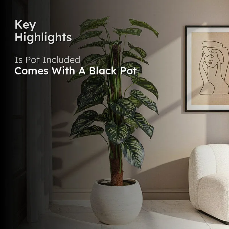 Faux Lush Peperomia Plant With Black Plastic Pot - 4 Feet media 2