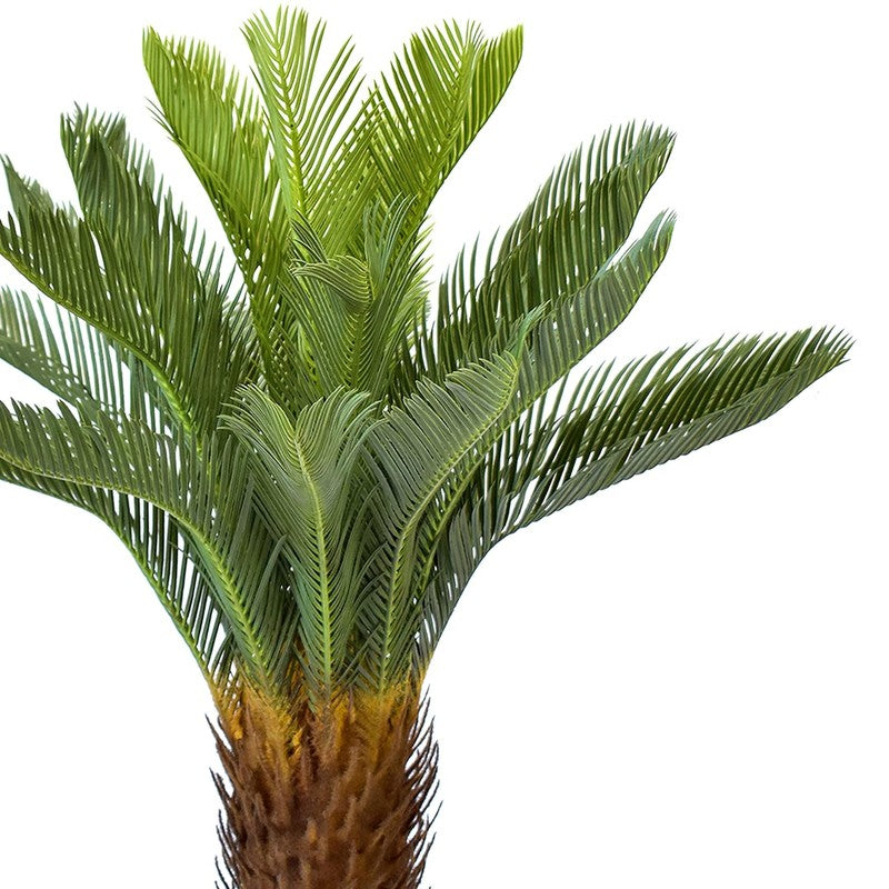 Botani Artificial Areca Plant With Black Plastic Pot - 3.1 Feet media 4