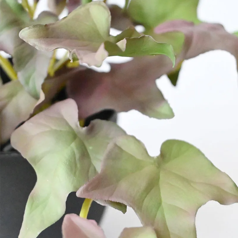 Ivella Artificial Mini Ivy Plant With Black Plastic Pot (Purple) - 14 cm media 6