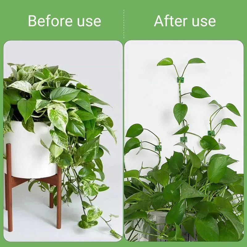 Green Mate Garden Clip - Set Of Thirty media 7